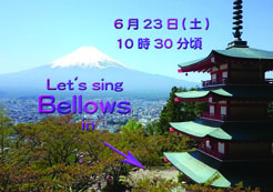 ピアニスト倍田敏江　アコーディオン　Bellows